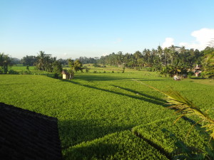 Bali 2014 161