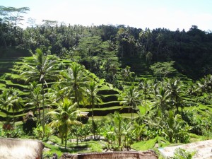 Bali 2014 197