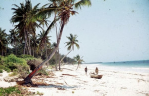 nyali-beach